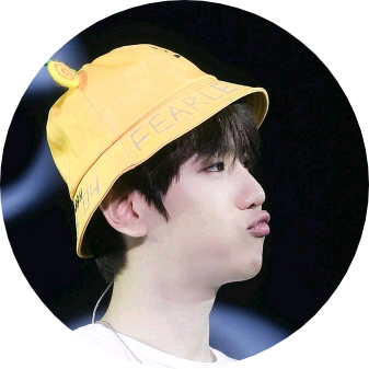 양이((백현 image