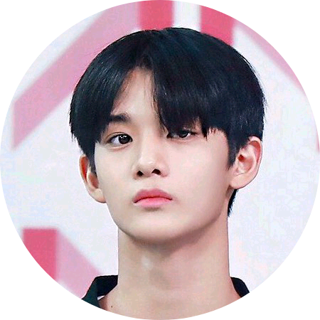 배진영 image