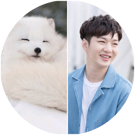 이창섭(북극여우) image