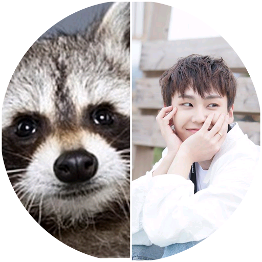 정일훈(너구리) image