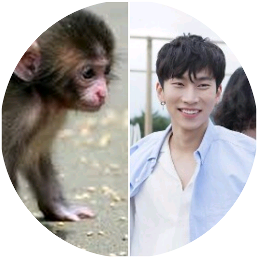 서은광(원숭이) image