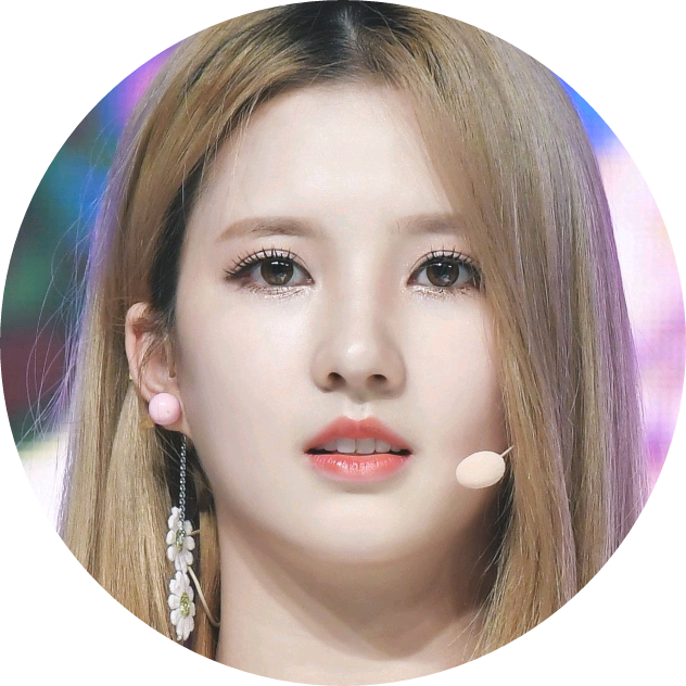 샐리 image