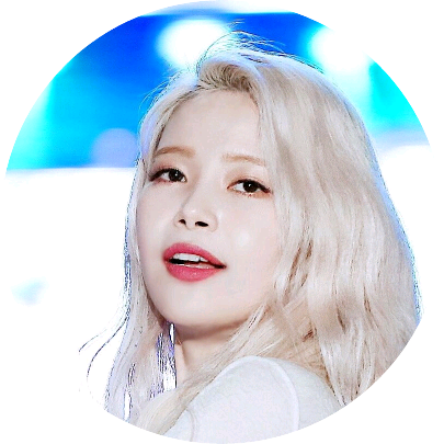 솔라 image