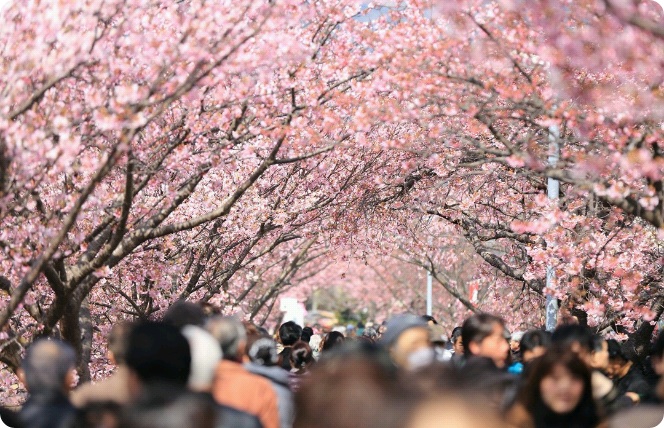 [Concorso 2] Tu sei il mio fiore thumbnail