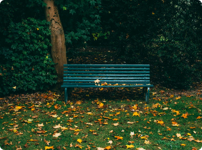 태어났더니 방탄 동생?! thumbnail