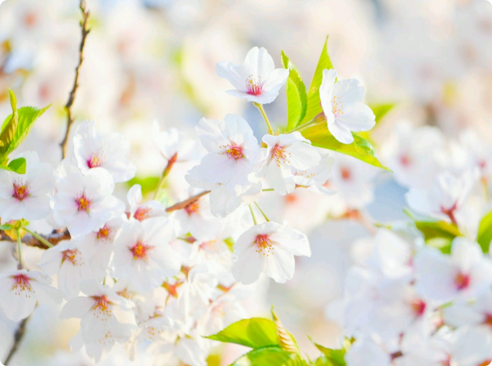 我珍惜的一份愛 thumbnail