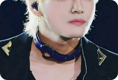 我们是几株藤蔓和半棵树！ thumbnail