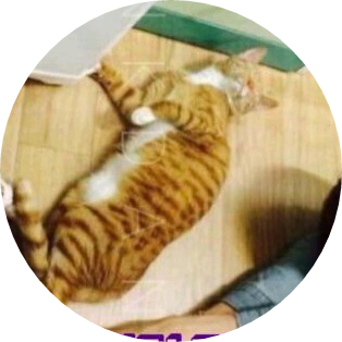 루니(주인공) image