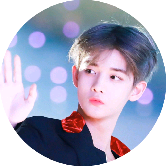 진영 image