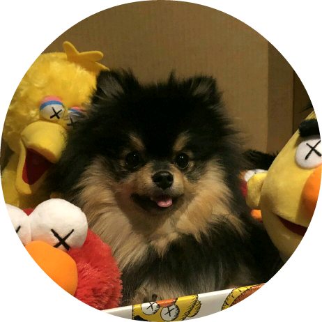 可愛的旁白 image