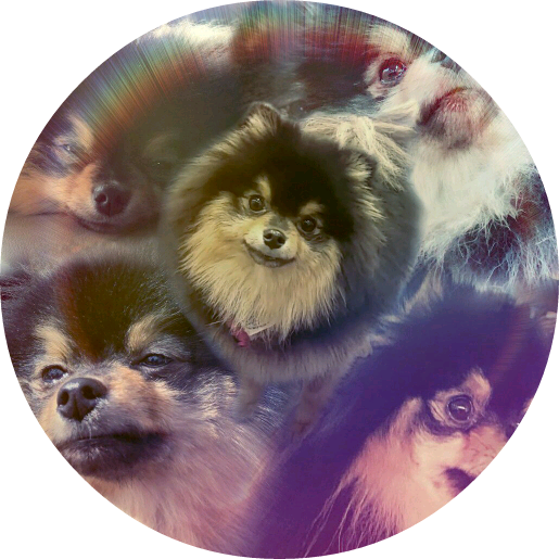 可愛的旁白 image