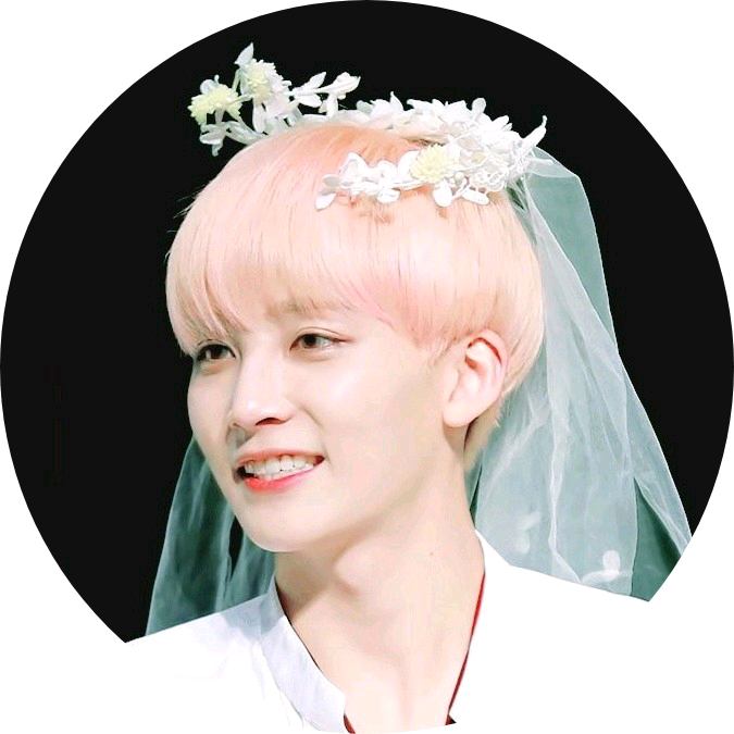 정한 image