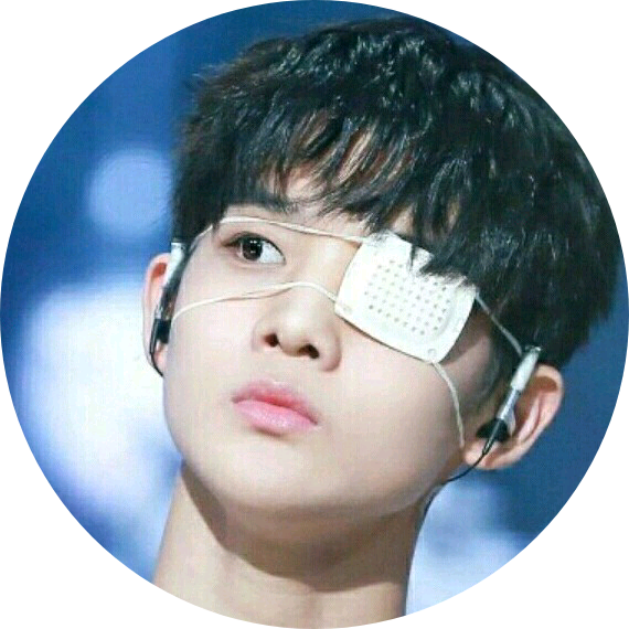 배진영 image