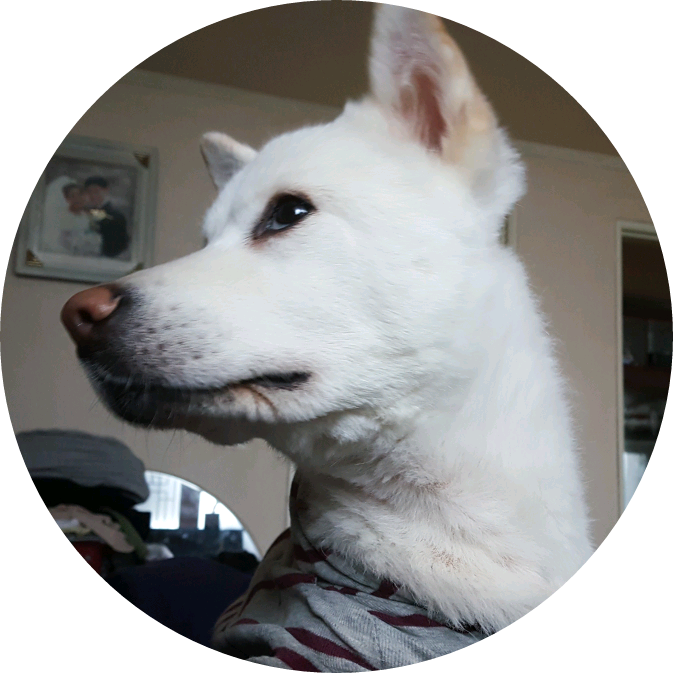 백자(짐승딸) image