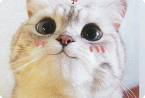 Hai intenzione di confessarti? thumbnail