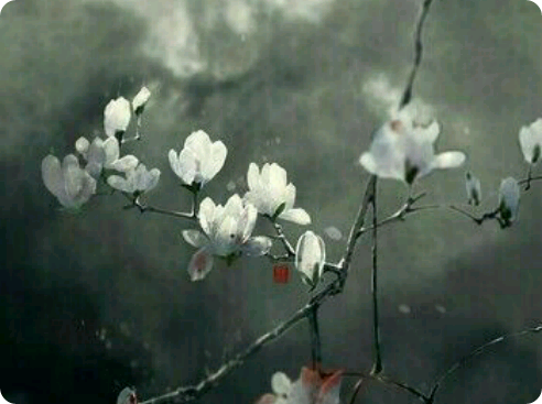 爱的形状 thumbnail