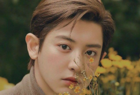 로이 워즈 thumbnail