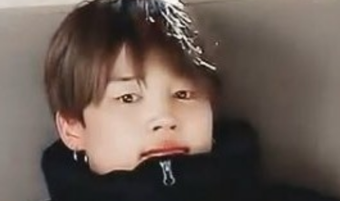 병아리 새끼 thumbnail