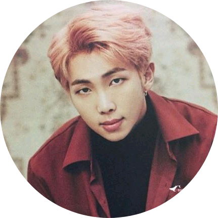 金南俊 image