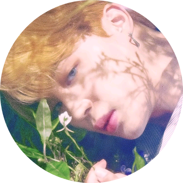 박지민 image