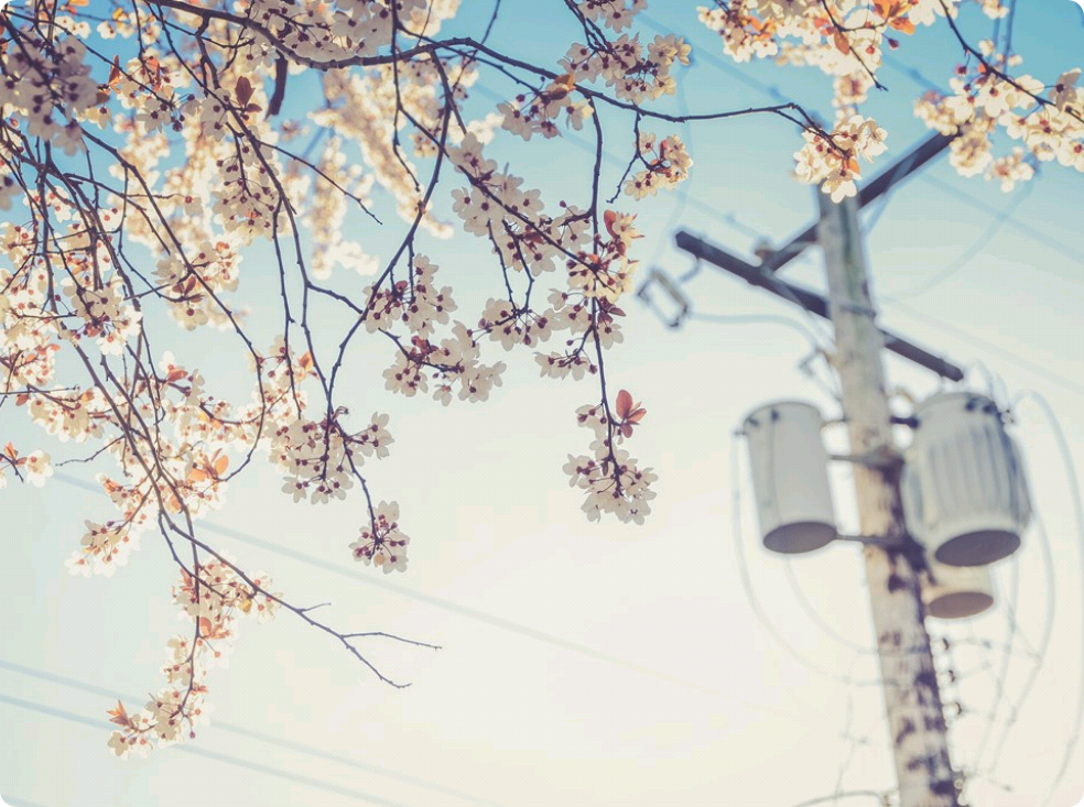 Beautiful - フラグメント thumbnail