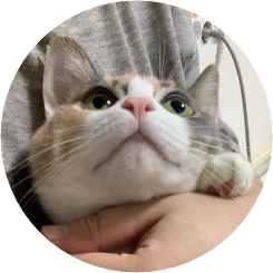 삼색 고양이 image