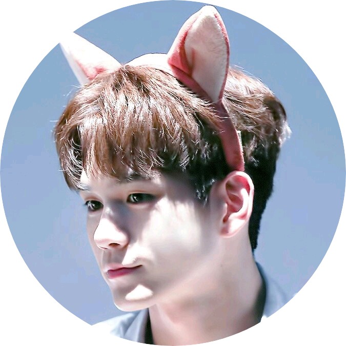 옹성우/19 image