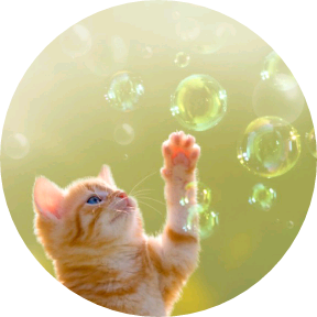 비눗방울처럼 언젠간 image