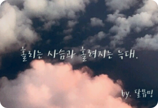 冬青鹿与冬青狼（阅读达尔穆明的文章） thumbnail