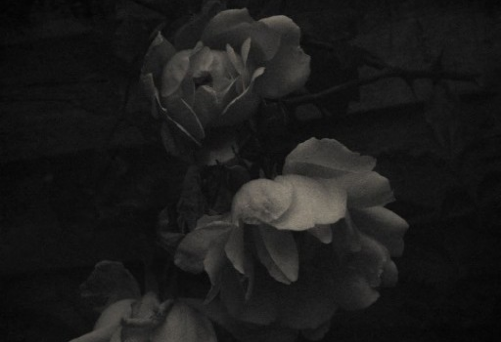 「고마워」 thumbnail