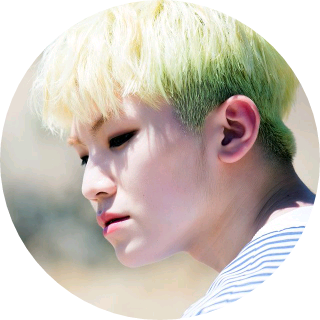 Woozi image
