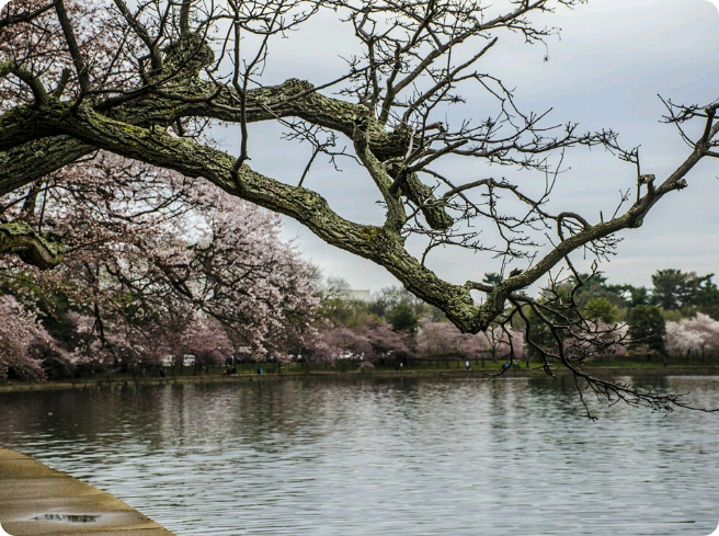 Moonrism High thumbnail