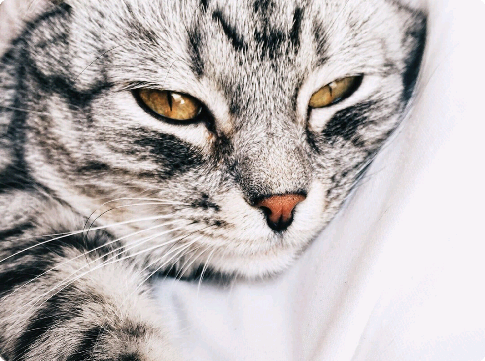 「すみません… thumbnail