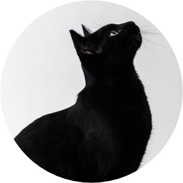 검은 고양이 image