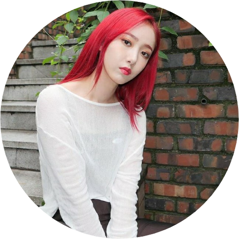 황은비(안무가) image