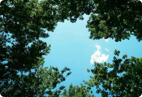 나의 미친 여름 thumbnail