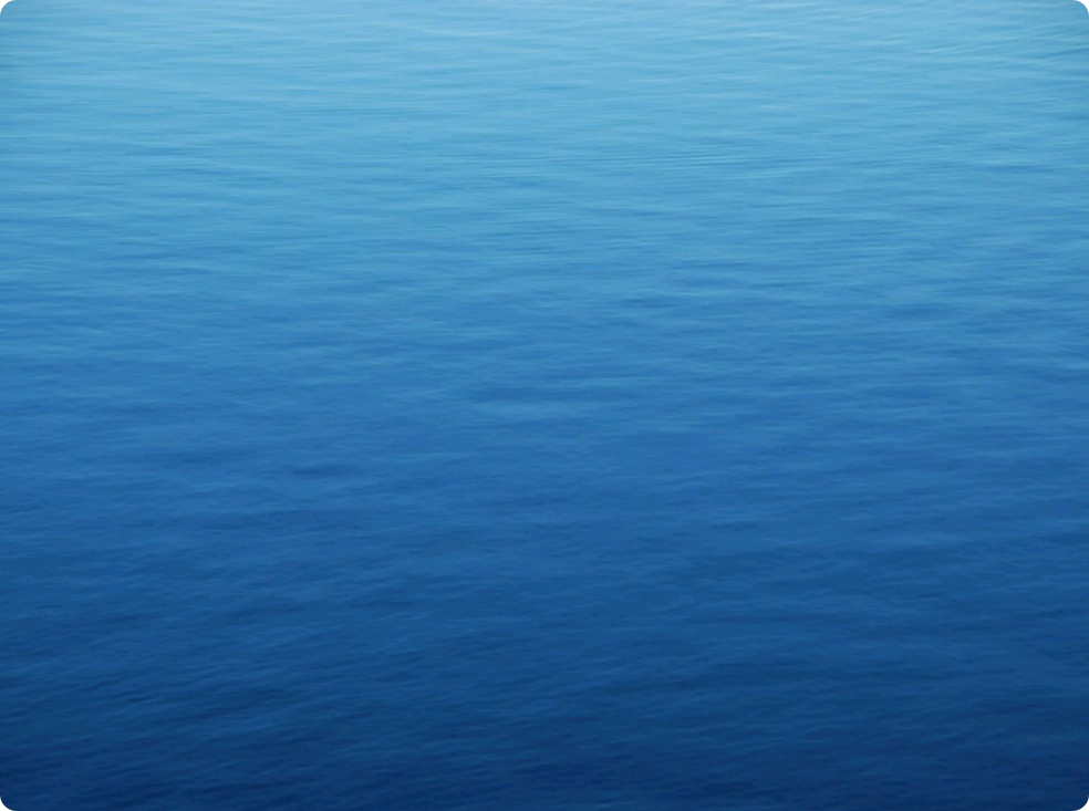 老朋友重逢 thumbnail