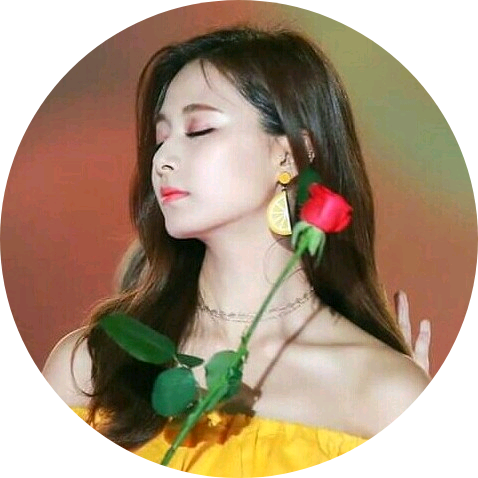 쌍둥이 누나(쯔위) image