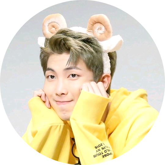 쌍둥이 동생(RM) image