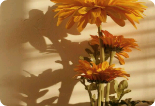 私はまだあなたを望んでいます [vmin!au] thumbnail