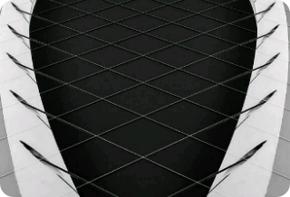 白いオオカミ thumbnail