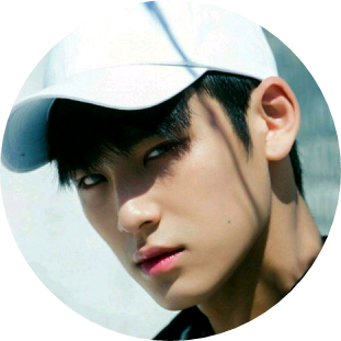 Mingyu image