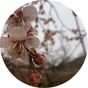 유링작가 image