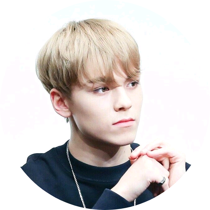 버논 image