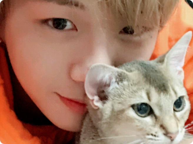 Cheap bullies thumbnail