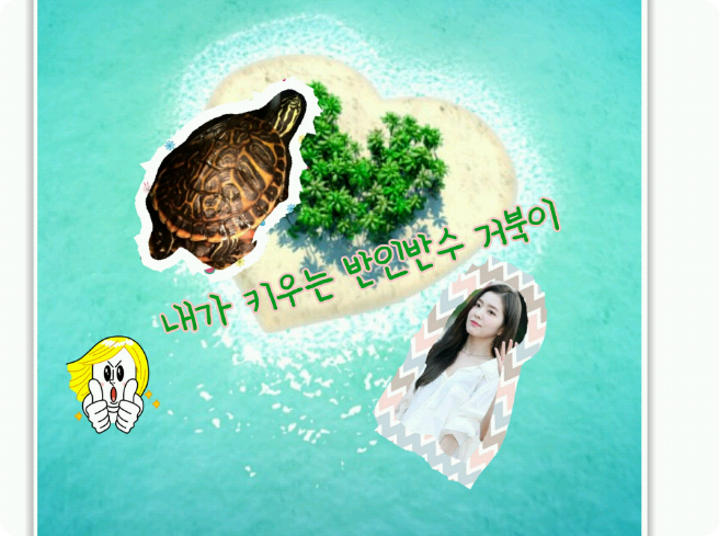 내가 키우는 반인반수 거북이 thumbnail