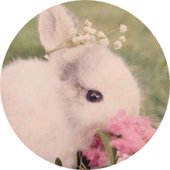 토끼(정국) image