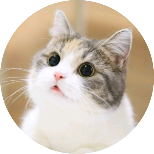 고양이(여주) image