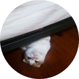 꼬모 image