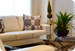 犬が養子になりました。 thumbnail